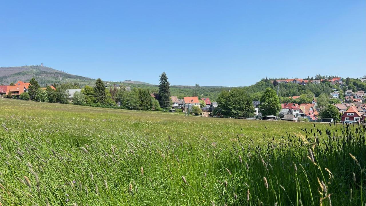 Haus Auf Dem Berg Apartment Braunlage Ngoại thất bức ảnh