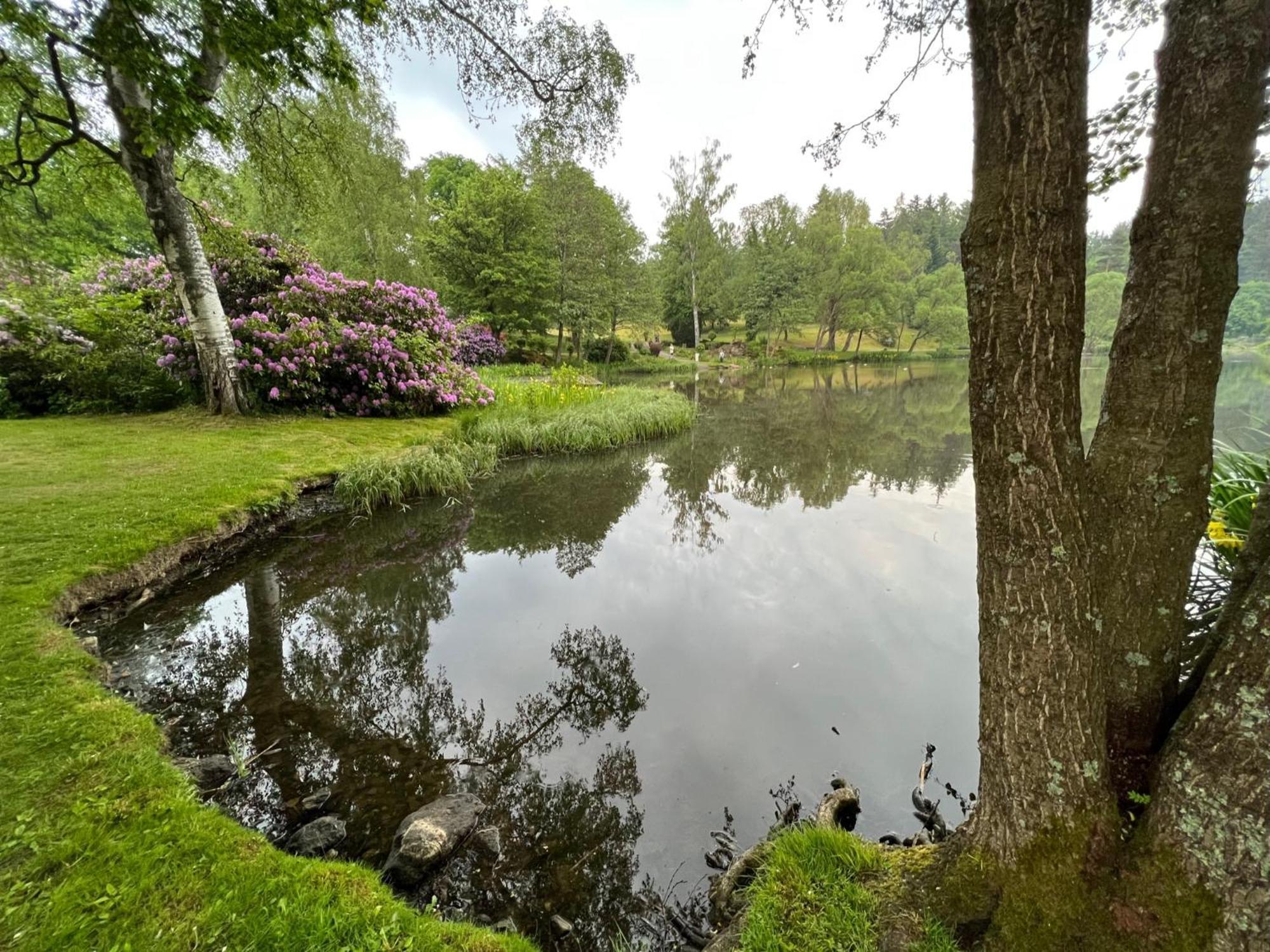 Haus Auf Dem Berg Apartment Braunlage Ngoại thất bức ảnh